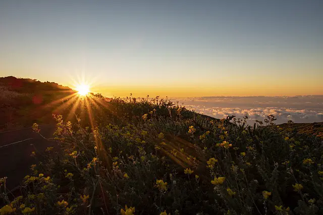 La Palma 3 - Thumb